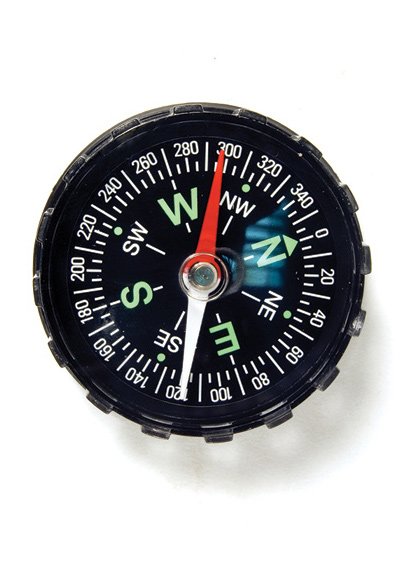 photograph Levenhuk DC45 Compass