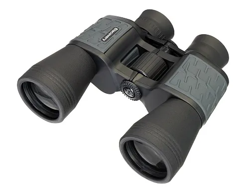 photo Levenhuk Discovery Flint 10x50 Binoculars