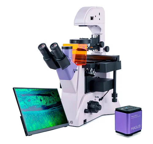 photograph MAGUS Lum VD500L LCD Fluorescence Inverted Digital Microscope