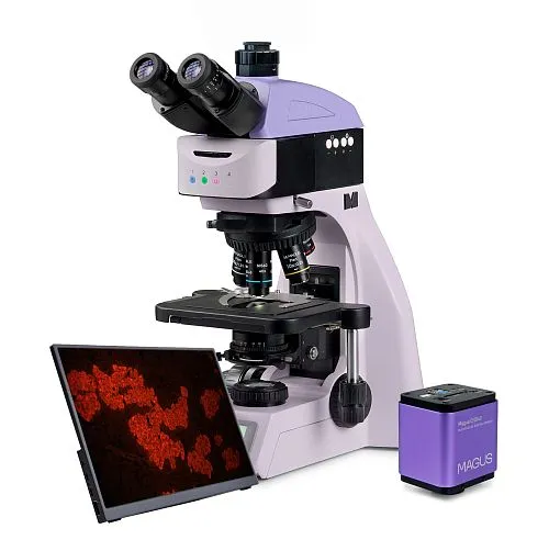 photograph MAGUS Lum D460L LCD Fluorescence Digital Microscope,  1