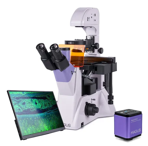 image MAGUS Lum VD500 LCD Fluorescence Inverted Digital Microscope