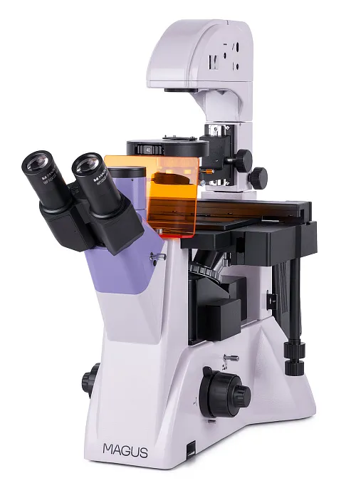 photo MAGUS Lum V500 Fluorescence Inverted Microscope