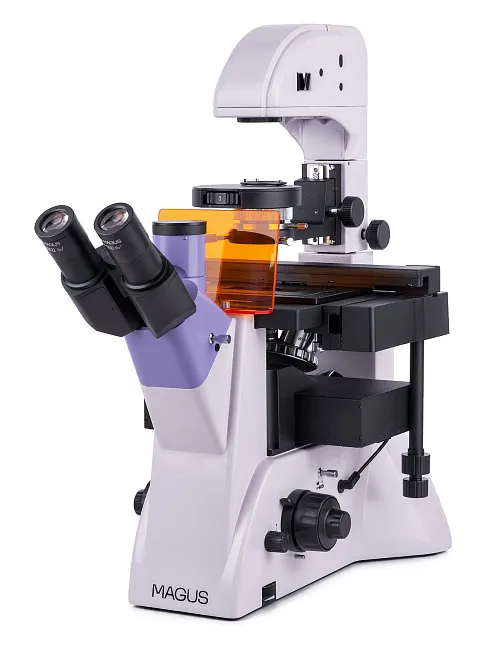 picture MAGUS Lum V500L Fluorescence Inverted Microscope