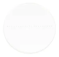 image MAGUS CSS1 Calibration Slide for Stereomicroscopes (0.1)