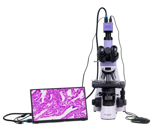 image MAGUS Bio D250T LCD Biological Digital Microscope,  7