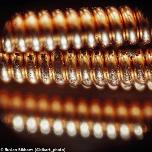 photo Levenhuk Rainbow D50L PLUS 2M Digital Microscope, Moonstone,  20