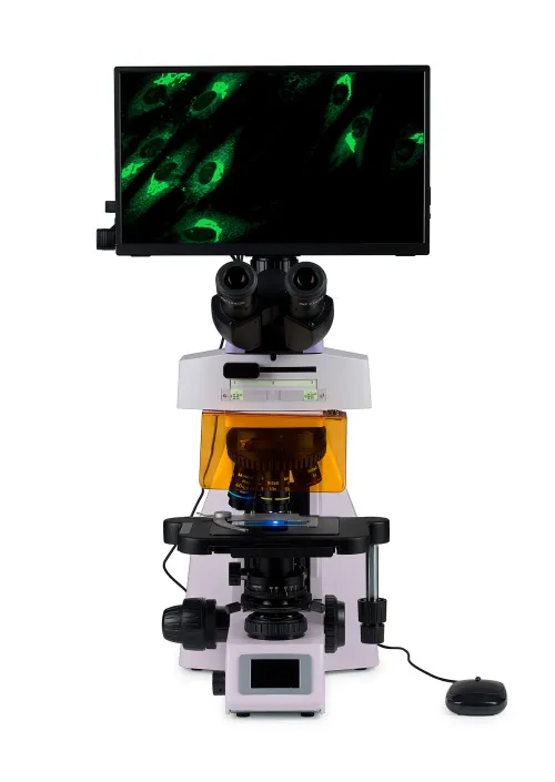 picture MAGUS Lum D450L LCD Fluorescence Digital Microscope,  8