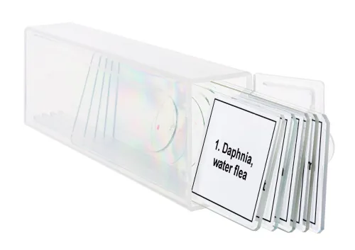 picture Levenhuk Discovery Prof Specimens DPS 5. “Life in a Drop of Water”,  5