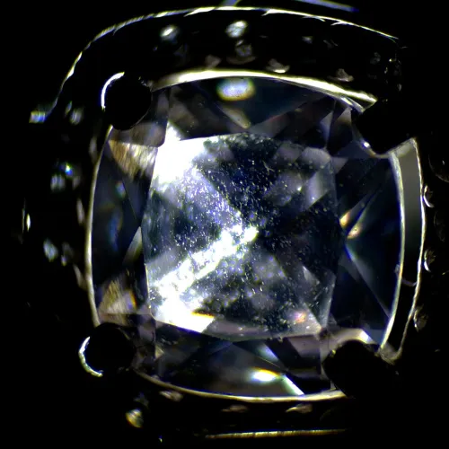 photograph MAGUS Stereo A6 Stereomicroscope,  13