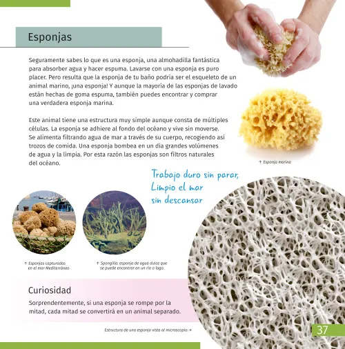 photograph Invisible World. Knowledge book,  7