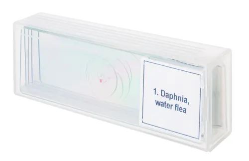 picture Levenhuk Discovery Prof Specimens DPS 5. “Life in a Drop of Water”,  4