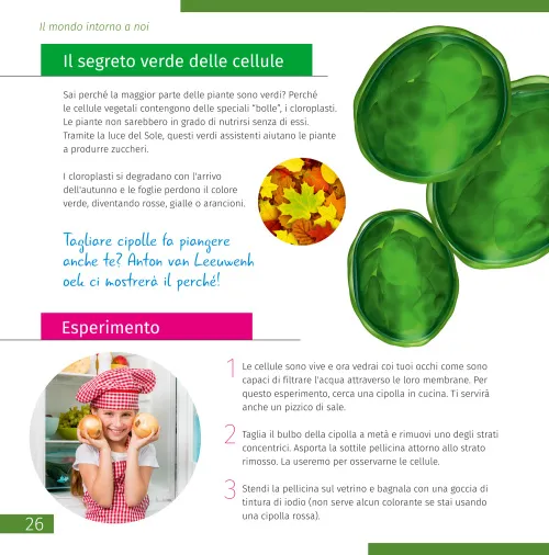 photograph Invisible World. Knowledge book,  6