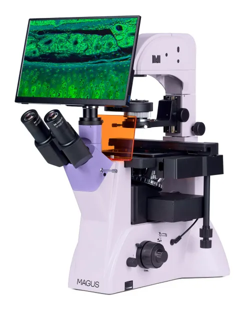 photograph MAGUS Lum VD500L LCD Fluorescence Inverted Digital Microscope,  3