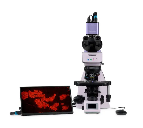 photograph MAGUS Lum D460L LCD Fluorescence Digital Microscope,  10