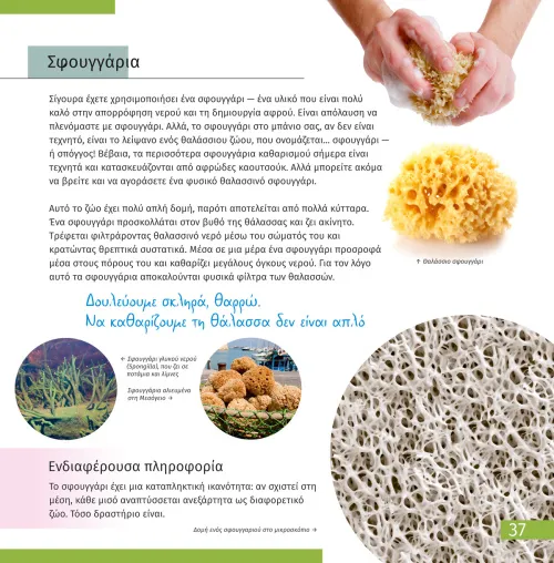 photograph Invisible World. Knowledge book,  2