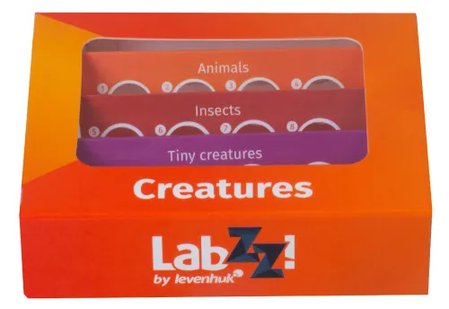 picture Levenhuk LabZZ C12 Creatures Prepared Slides Set,  7