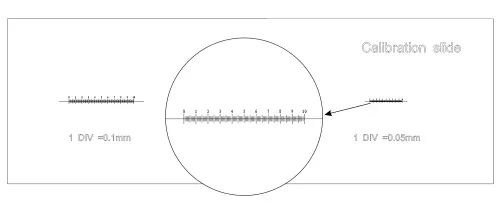 image MAGUS CS3 Calibration Slide (0.01/0.05/0.1),  6