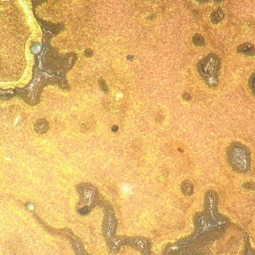 image MAGUS Metal V790 DIC Metallurgical Inverted Microscope,  21