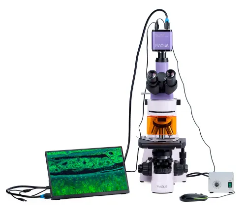 image MAGUS Lum D400L LCD Fluorescence Digital Microscope,  6