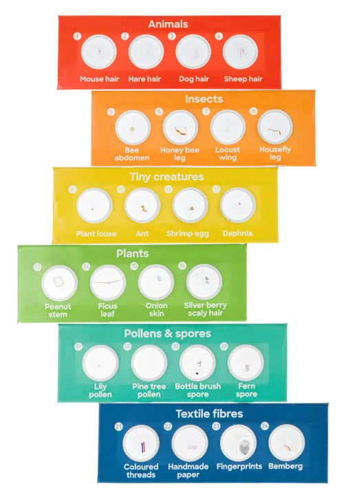 photo Levenhuk Discovery Flora & Fauna 24 Prepared Slides Set,  3