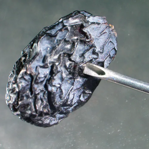 photograph MAGUS Stereo A6 Stereomicroscope,  14