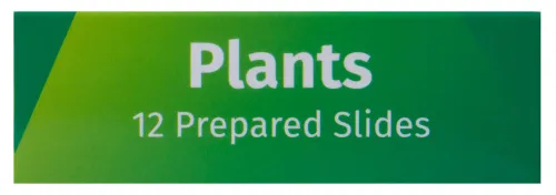 picture Levenhuk LabZZ P12 Plants Prepared Slides Set,  9