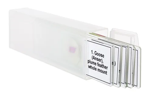 photo Levenhuk Discovery Prof Specimens DPS 5. “Birds”,  5