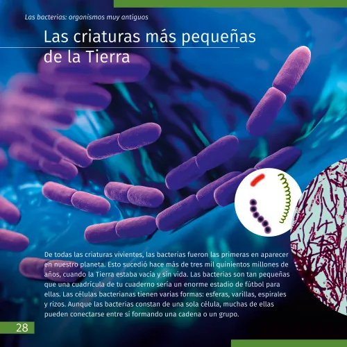 photograph Invisible World. Knowledge book,  4