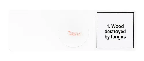 picture Levenhuk Discovery Prof Specimens DPS 5. “Mutations”,  7