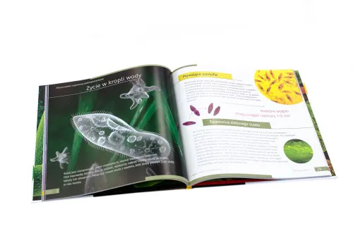 picture Invisible World. Knowledge book. Hardcover,  4