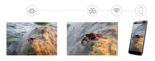 picture Levenhuk Kelvin Snap ED 8x42 Digital Photomonocular,  6