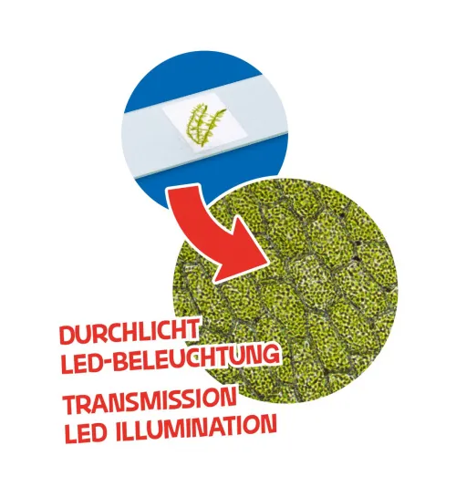 photograph Bresser Junior Microscope & Telescope Set,  7