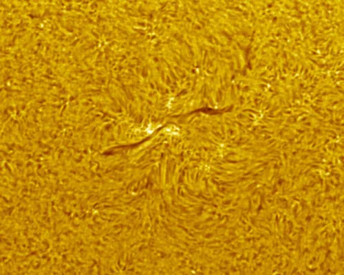 photo Coronado SolarMax III 90mm Solar Telescope with RichView System and BF30,  8