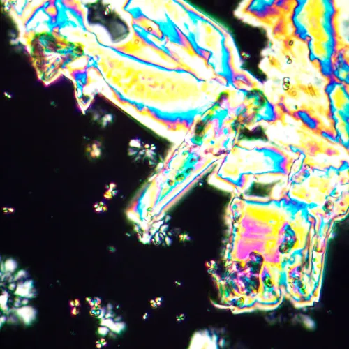 photograph MAGUS Pol 890 Polarizing Microscope,  25