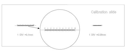 image MAGUS CS3 Calibration Slide (0.01/0.05/0.1),  4