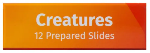 picture Levenhuk LabZZ C12 Creatures Prepared Slides Set,  8