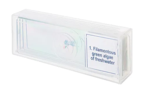 image Levenhuk Discovery Prof Specimens DPS 5. “Biology”,  4