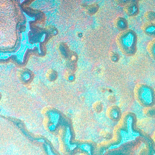 image MAGUS Metal V790 DIC Metallurgical Inverted Microscope,  20