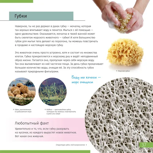 photograph Invisible World. Knowledge book,  7