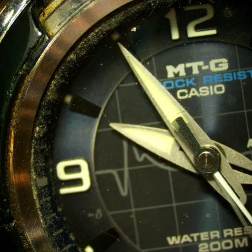 photo MAGUS Stereo D8T PLUS Digital Stereomicroscope,  19