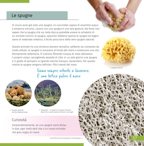 photograph Invisible World. Knowledge book,  2