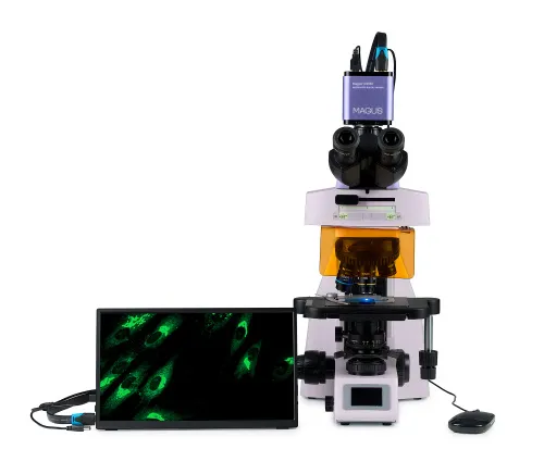 picture MAGUS Lum D450L LCD Fluorescence Digital Microscope,  9