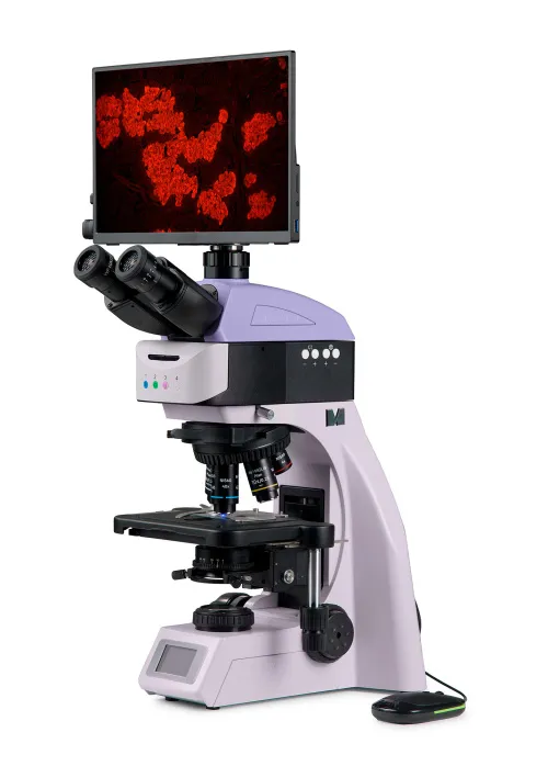 photograph MAGUS Lum D460L LCD Fluorescence Digital Microscope,  2