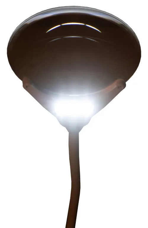 picture Levenhuk Zeno Lamp ZL13 Magnifier,  10