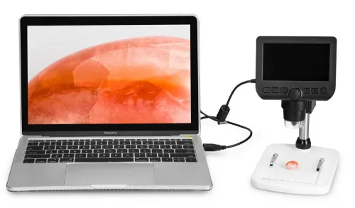 photograph Levenhuk DTX 350 LCD Digital Microscope,  14