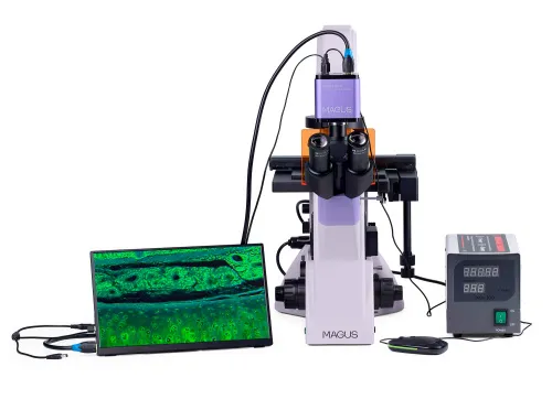 image MAGUS Lum VD500 LCD Fluorescence Inverted Digital Microscope,  6