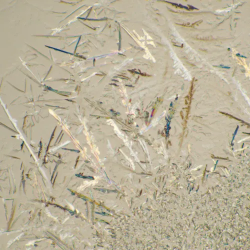 photograph MAGUS Bio D230T Biological Digital Microscope,  26