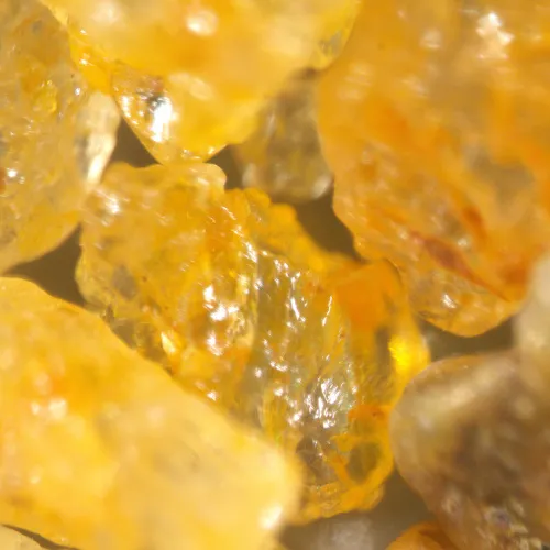 photo MAGUS Stereo A18T Stereomicroscope,  7