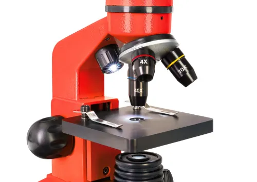 image Levenhuk Rainbow 2L Microscope,  10