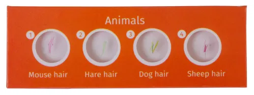 photo Levenhuk LabZZ CP24 Creatures & Plants Prepared Slides Set,  2